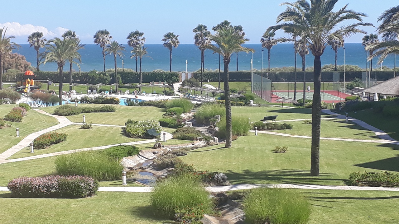 VISTA DESDE EL 429